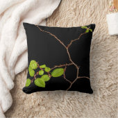 coussin coréen de bonsaïs de charme (Couverture)