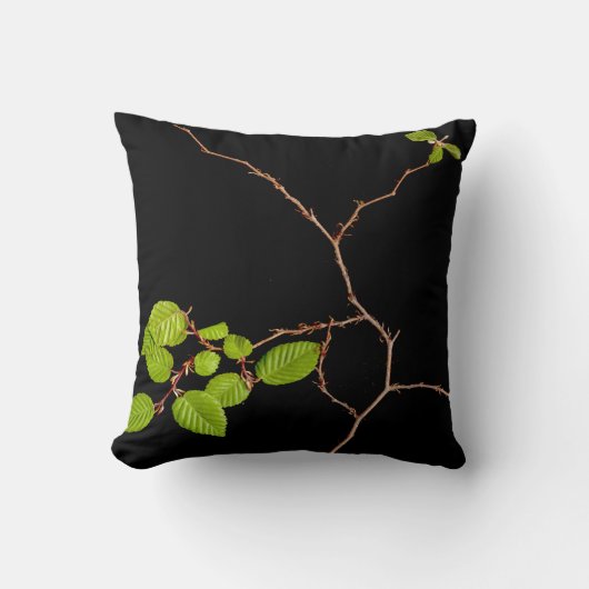 coussin coréen de bonsaïs de charme (Recto)
