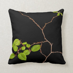 coussin coréen de bonsaïs de charme