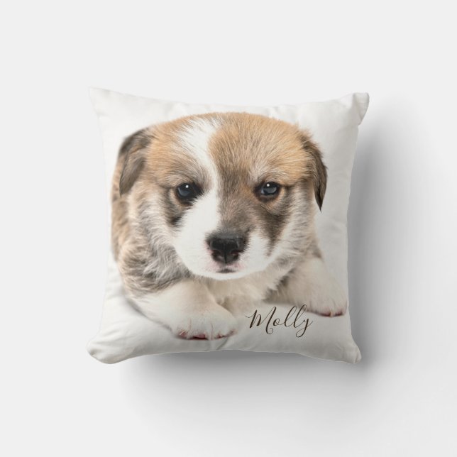 Coussin Corgi gallois mignon (Recto)