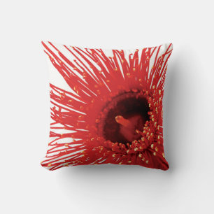 Coussin Corymbia ficifolia "Feu sauvage" carré photo couss