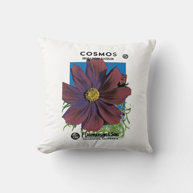 Coussin Cosmos (Recto)