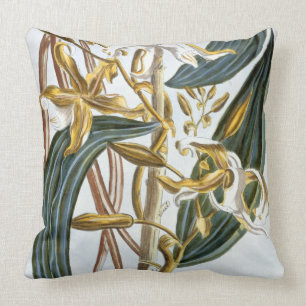 Coussin Cosses de vanille, plat 65, de 'collection