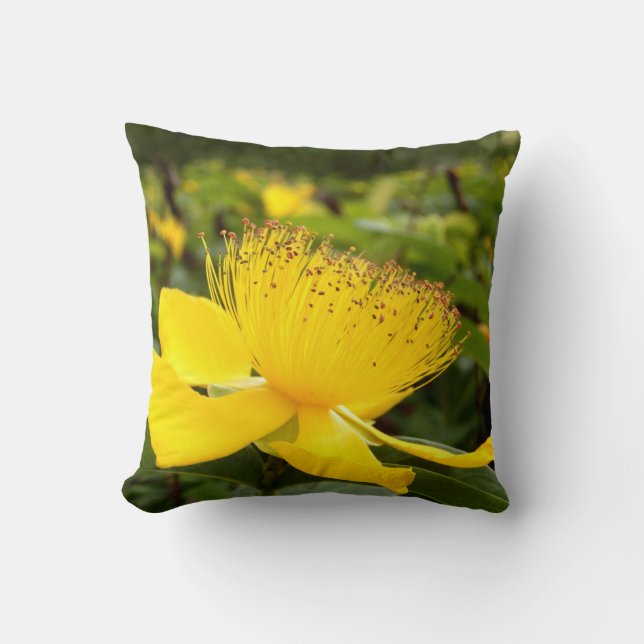 Coussin Costume à lancer Hypericum Calcyinum (Recto)