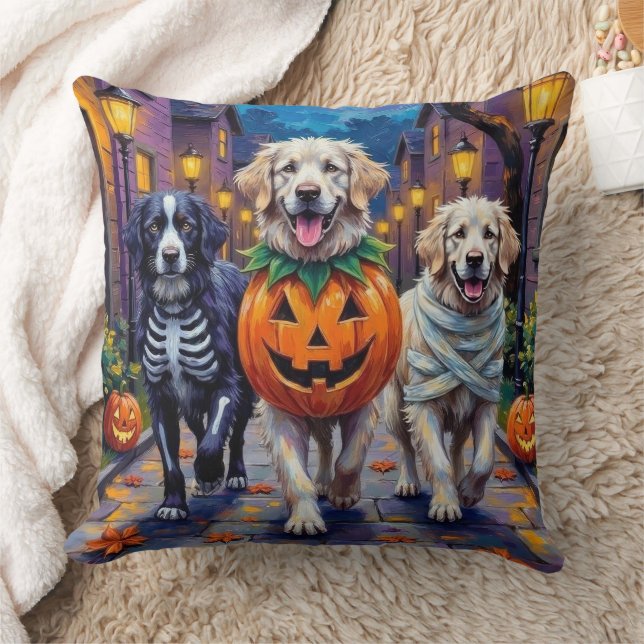 Coussin Costume d'Halloween pour la tournée des friandises (Couverture)