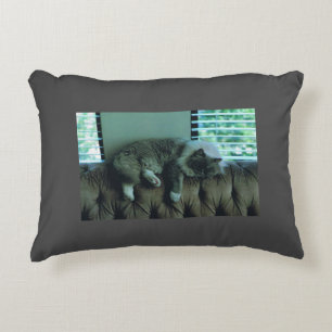 Coussin cosy avec une photo de Ragdoll