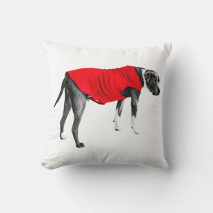 Coussin Couche Écarlate, Regard Calme