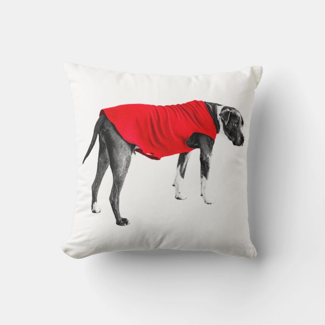 Coussin Couche Écarlate, Regard Calme (Recto)