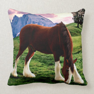 Coussin Coucher du soleil de Clydesdale