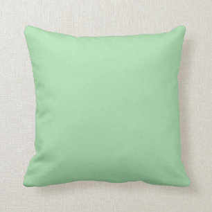 Coussin Couleur Celadon Arrière - plan Vert clair Pastel J