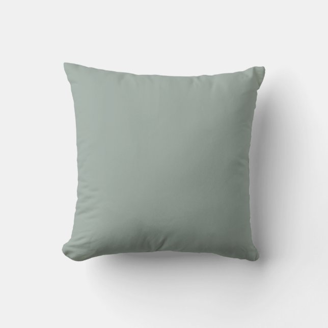 Coussin Couleur claire et verte gris (Recto)
