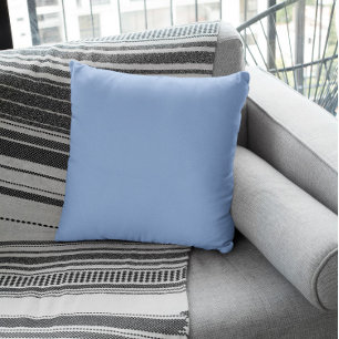 Coussin Couleur de tendance - Bleu de poudre