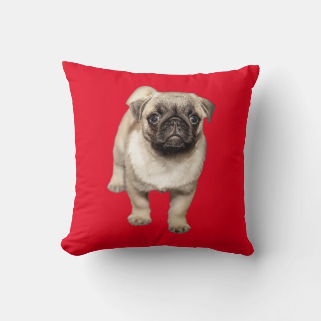 Coussin Couleur faite sur commande d'arrière - plan de (Recto)
