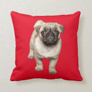 Coussin Couleur faite sur commande d'arrière - plan de