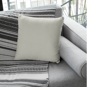 Coussin Couleur tendance - gris argenté clair