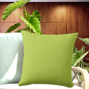 Coussin couleur uni vert clair