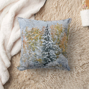 Coussin Couleurs automnales des Aspens et du col Keebler