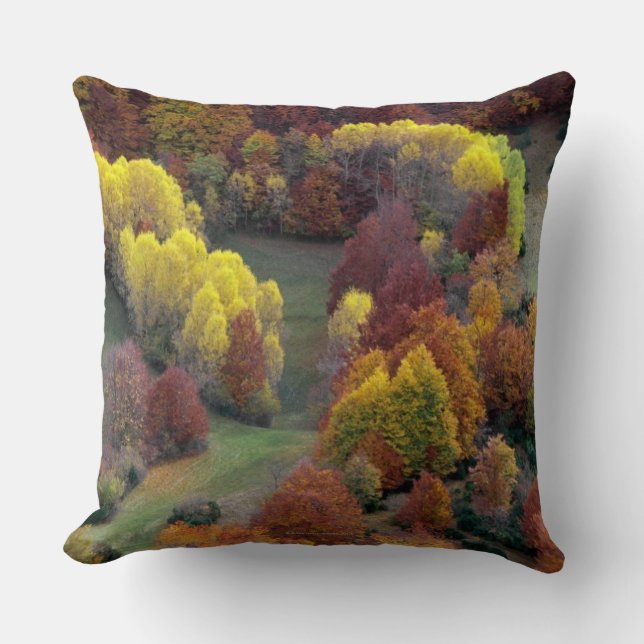 Coussin Couleurs d'automne (Recto)