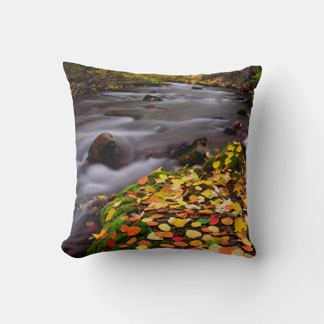 Coussin Couleurs d'automne le long du ruisseau McGee (Recto)
