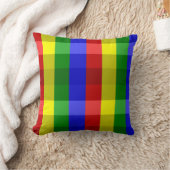 Coussin Couleurs primaires Chèques-Oreiller-Sq (Couverture)