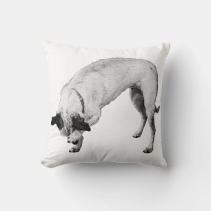 Coussin Coupe Bashy, Cosy Corner