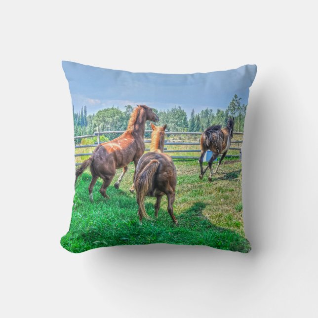 Coussin Courir Pinto Peinture Gelding & Stallions châtaign (Recto)