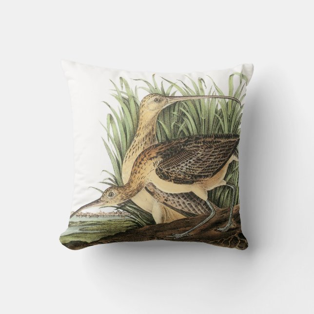 Coussin courlis cendré Long-affiché par Audubon (Recto)