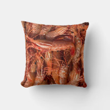 Courses délicieuses