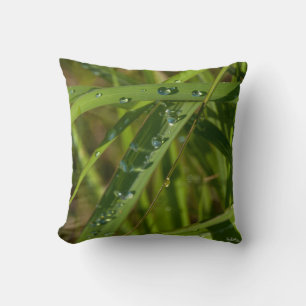 Coussin Coussin, herbe avec la rosée