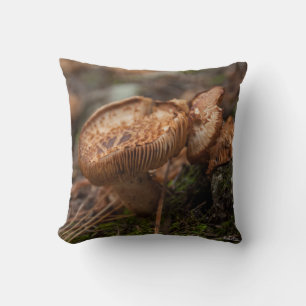 Coussin Coussin, photo de champignons