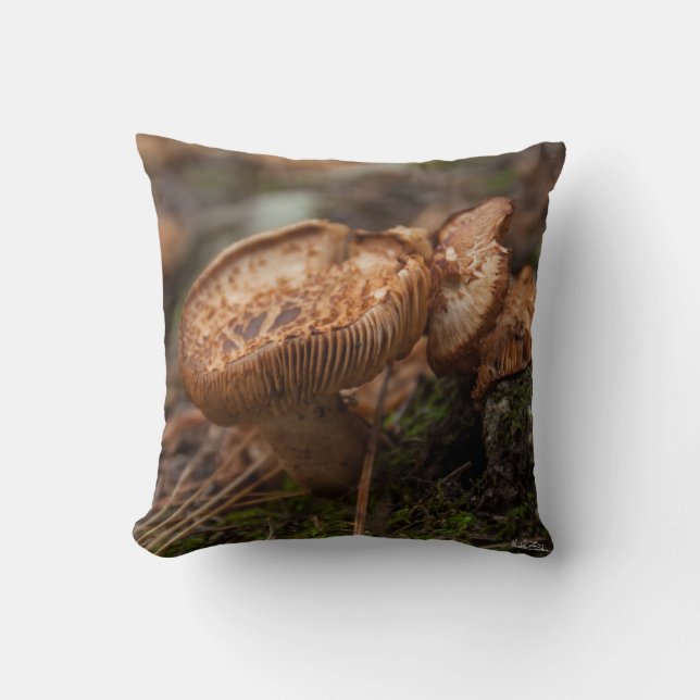 Coussin Coussin, photo de champignons (Recto)