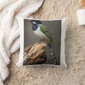 Coussin Couverture bébé en molleton oiseau jay vert exotiq (Couverture)