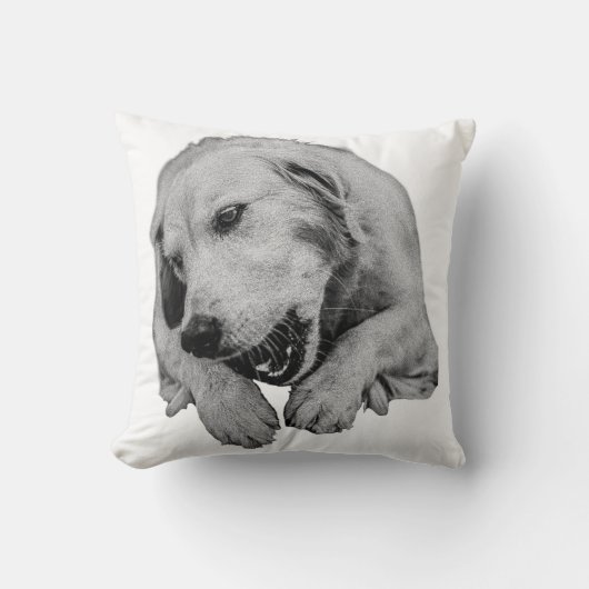 Coussin Couvertures, friandises et lumières du soir (Recto)