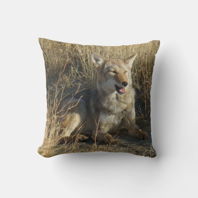 Coussin Coyote R18 Couché (Recto)