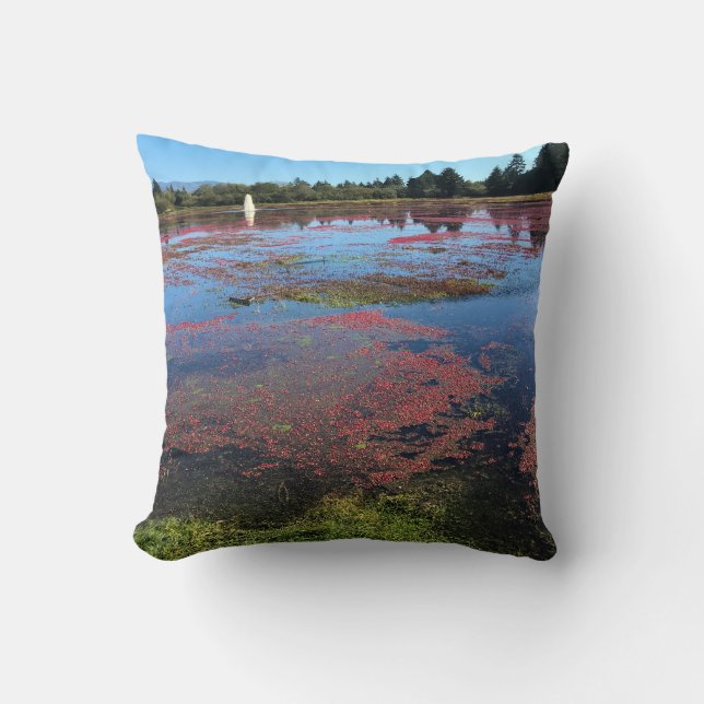 Coussin Cranberry Farm, Long Beach, Washington (Recto)