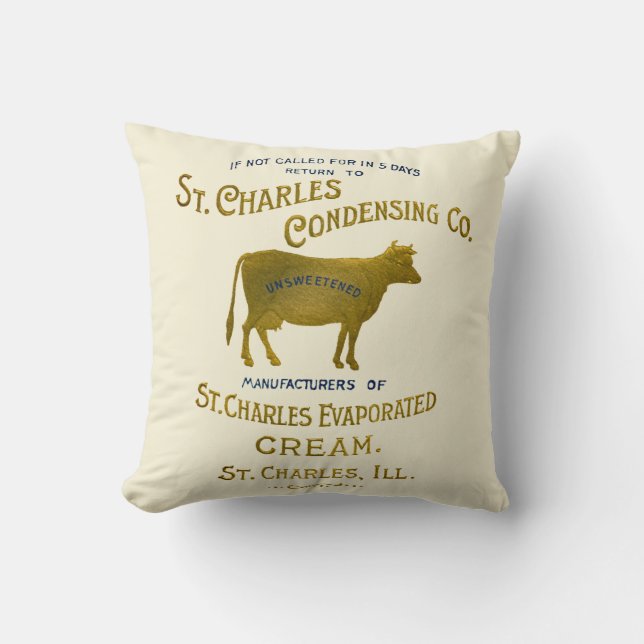Coussin CRÈME DE LAIT DE VACHE LAITIÈRE St Charles Illinoi (Recto)