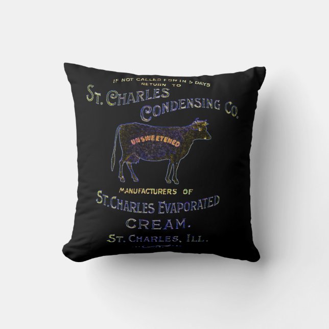 Coussin CRÈME DE LAIT DE VACHE LAITIÈRE St Charles Illinoi (Recto)