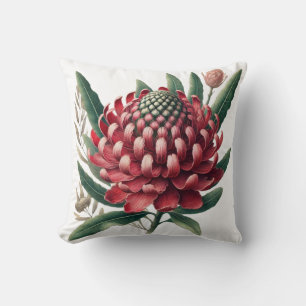 Coussin Crimson Red Waratah Australian Native Flower