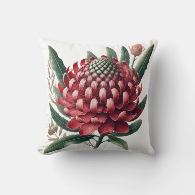 Coussin Crimson Red Waratah Australian Native Flower (Recto)