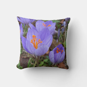 Coussin Crocus