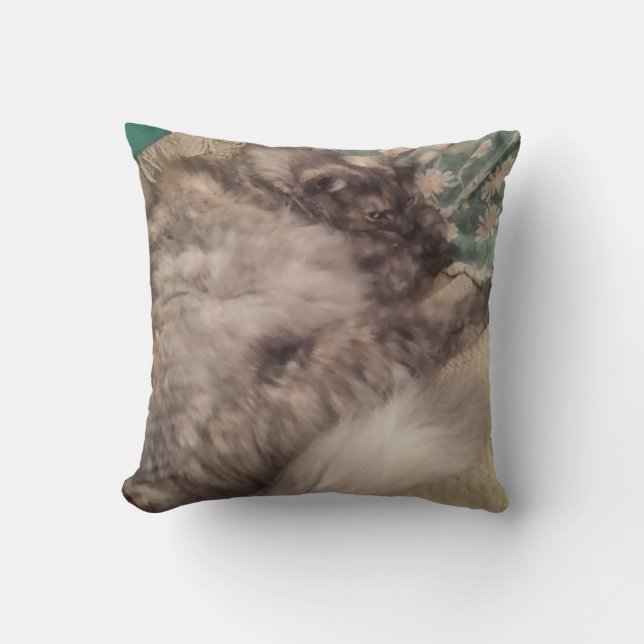 Coussin Cuisine de chat personnalisée par RoseWrites (Recto)