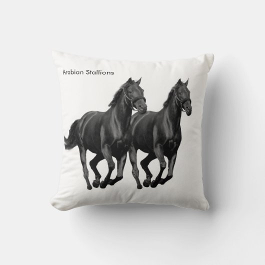 Coussin Cushion (Recto)