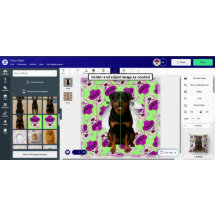 Customizable Coquette Pet Pop-out