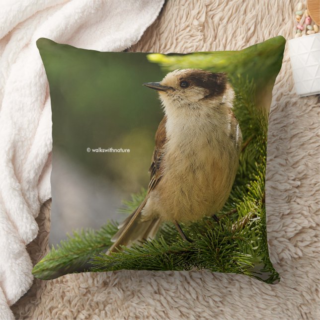 Coussin Cut Grey Jay Whiskeyjack Songbird in Conifer Tree (Couverture)