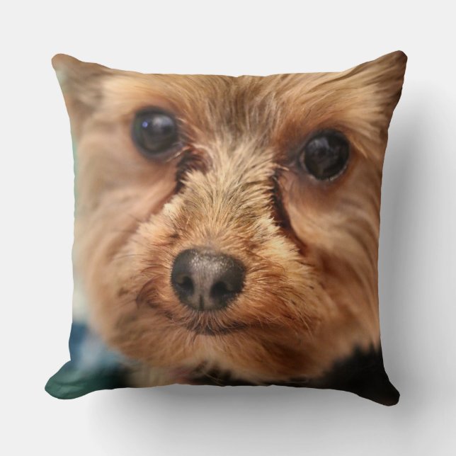 Coussin Cute (Recto)