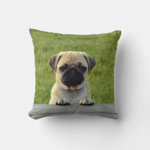 Coussin Cute CARLIN pour animaux - personnalisez-le