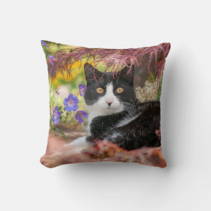 Coussin Cute chat noir blanc reposant sous un érablière -