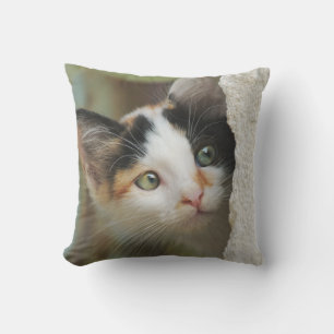 Coussin Cute Curious Chat Kitten Yeux de prière - pour l'e