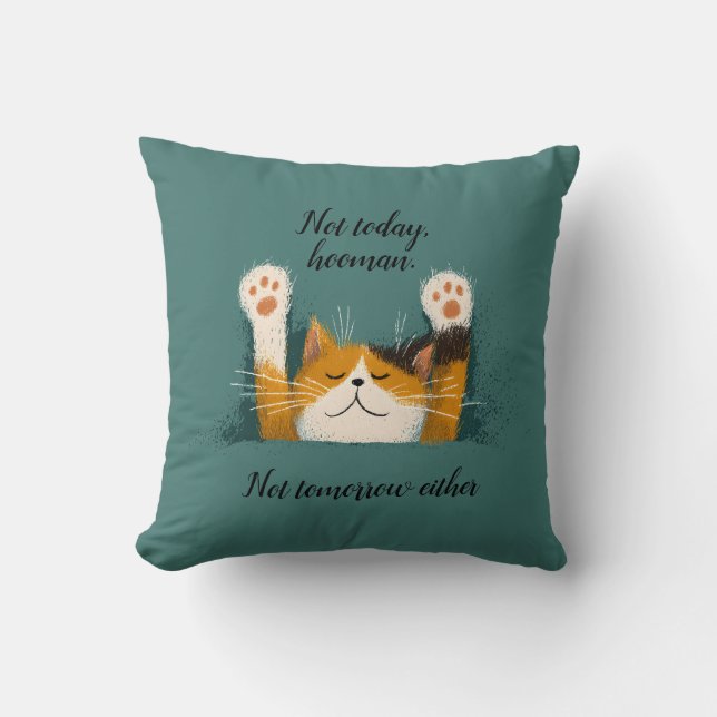 Coussin Cute Funny Cat Nap (Recto)
