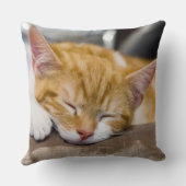 Coussin Cute Kitten (Verso)